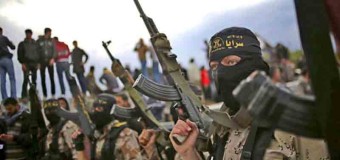 «Исламское государство» приблизилось к границам СНГ