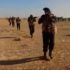 Иранские войска завербовали свыше 11 000 боевиков в Сирии – SOHR