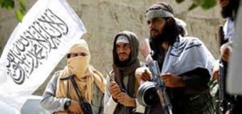Американская разведка предсказала сроки захвата власти в Афганистане талибами