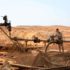 Саудовская Аравия и США поделили сирийскую нефть между собой