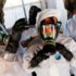ОЗХО намерено удалила «неудобные» данные о химической атаке в Думе – Wikileaks