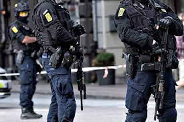 КТО в Дании и Германии: задержано 14 террористов КТО в Дании и Германии: задержано 14 террористов