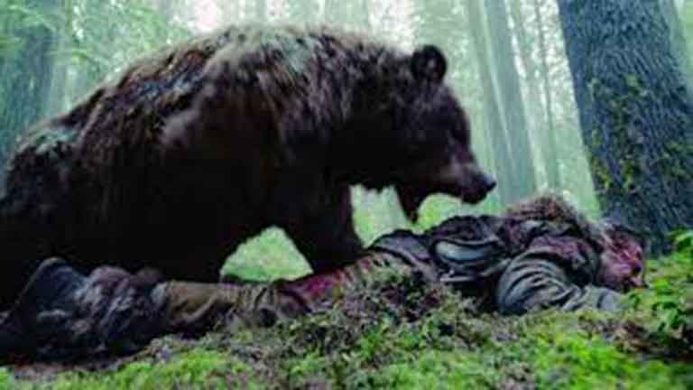 Нападение медведя-людоеда на группу туристов: есть жертвы и пострадавшие